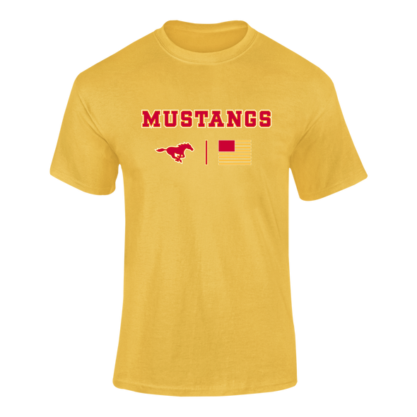 Abraham Lincoln Mustangs Team Colors Flag Men's SS T-Shirt