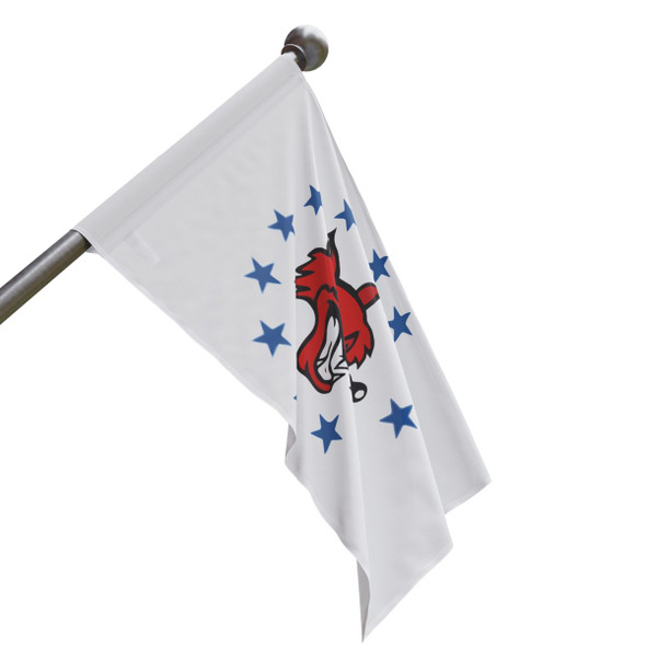 North Iredell High School Raiders Stars Flag - White