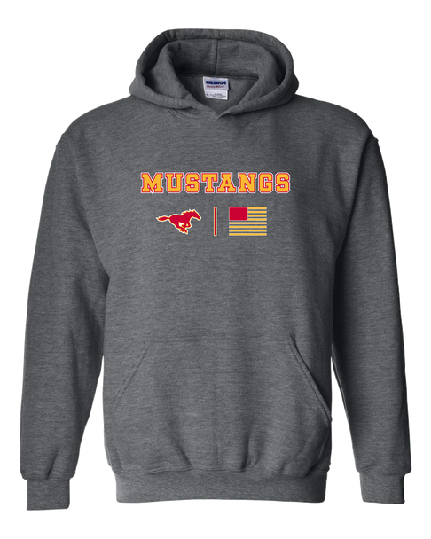 Abraham Lincoln Mustangs Team Colors Flag Men's Hoodie