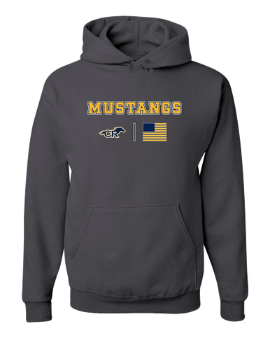 Cypress Ranch Mustangs Team Colors Flag Men's Premium Hoodie