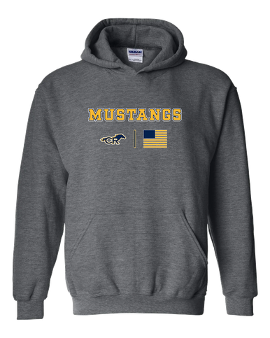 Cypress Ranch Mustangs Team Colors Flag Men's Hoodie