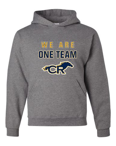 Cypress Ranch Mustangs We Are One Team Men's Premium Hoodie