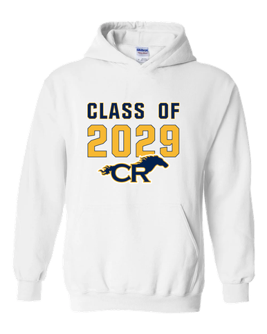 Cypress Ranch Mustangs Class of 2029 Men's Hoodie
