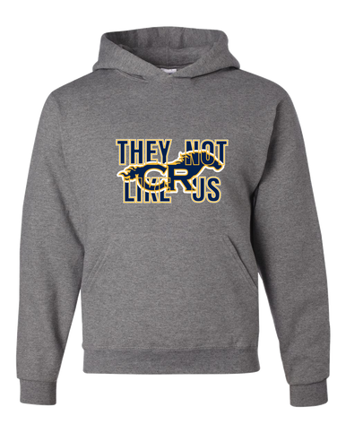 Cypress Ranch Mustangs They Not Like Us #2 Men's Premium Hoodie