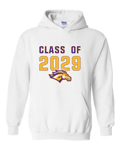 Rolling Meadows Mustangs Class of 2029 Men's Hoodie