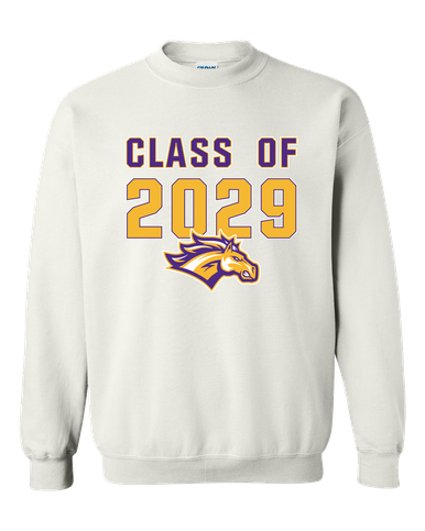Rolling Meadows Mustangs Class of 2029 Men's Sweatshirt
