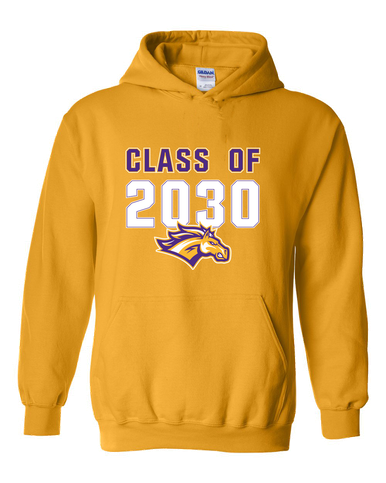Rolling Meadows Mustangs Class of 2030 Men's Hoodie