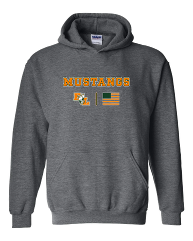 East Lincoln Mustangs Team Colors Flag Men's Hoodie