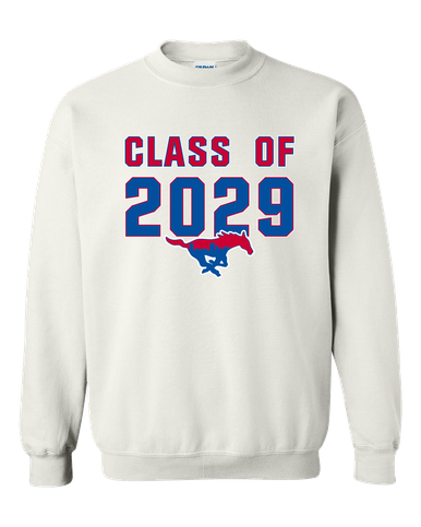 Parkland Mustangs Class of 2029 Men's Sweatshirt