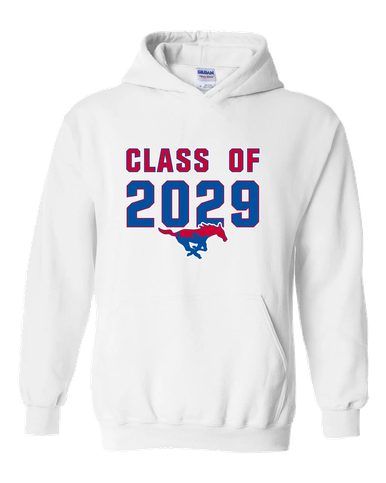 Parkland Mustangs Class of 2029 Men's Hoodie