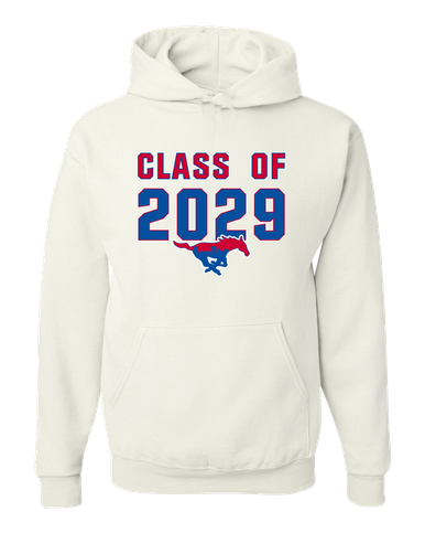 Parkland Mustangs Class of 2029 Men's Premium Hoodie