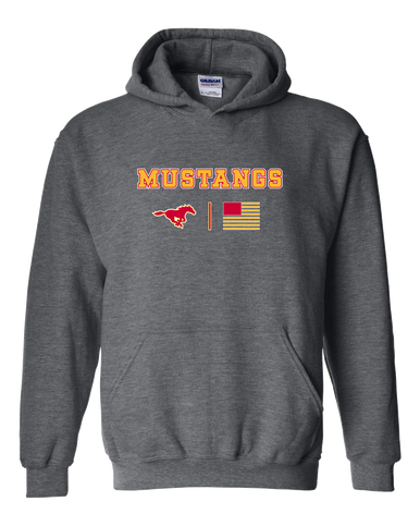 Abraham Lincoln Mustangs Team Colors Flag Men's Hoodie