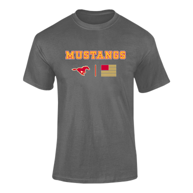 Abraham Lincoln Mustangs Team Colors Flag Men's SS T-Shirt