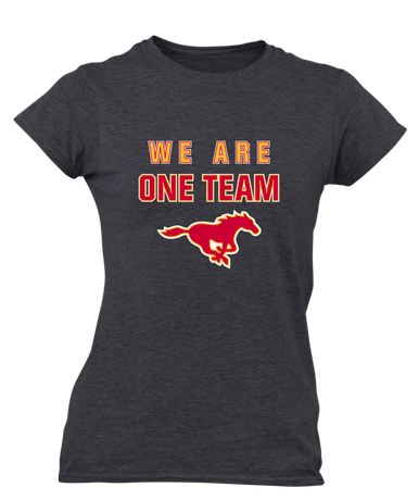 Abraham Lincoln Mustangs We Are One Team Women's Premium SS T-Shirt