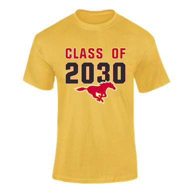 Abraham Lincoln Mustangs Class of 2030 Men's Premium SS T-Shirt