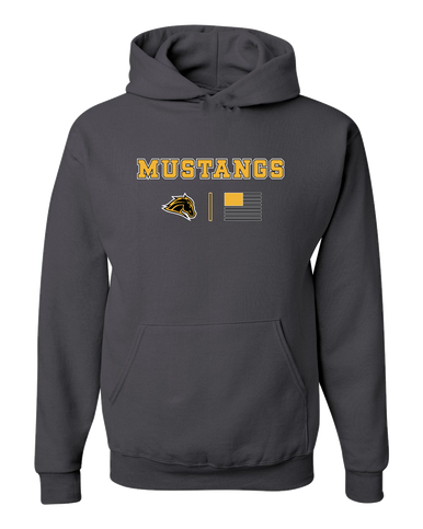 Metea Valley Mustangs Team Colors Flag Men's Premium Hoodie