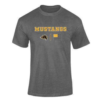 Metea Valley Mustangs Team Colors Flag Men's Premium SS T-Shirt