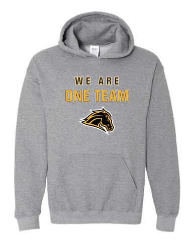 Metea Valley Mustangs We Are One Team Men's Hoodie