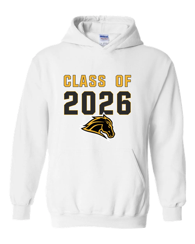 Metea Valley Mustangs Class of 2026 Men's Hoodie
