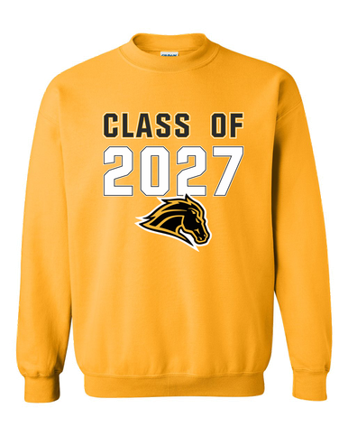 Metea Valley Mustangs Class of 2027 Men's Sweatshirt