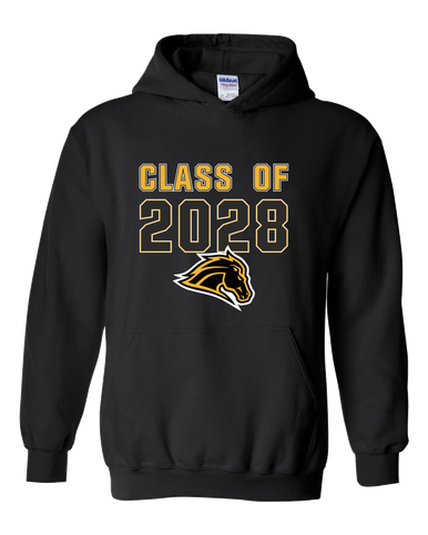 Metea Valley Mustangs Class of 2028 Men's Hoodie