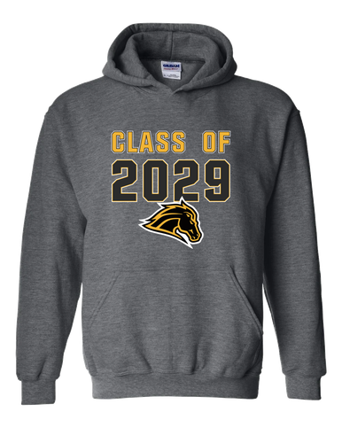 Metea Valley Mustangs Class of 2029 Men's Hoodie