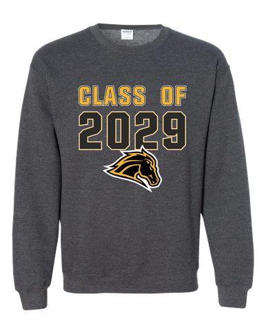 Metea Valley Mustangs Class of 2029 Men's Sweatshirt