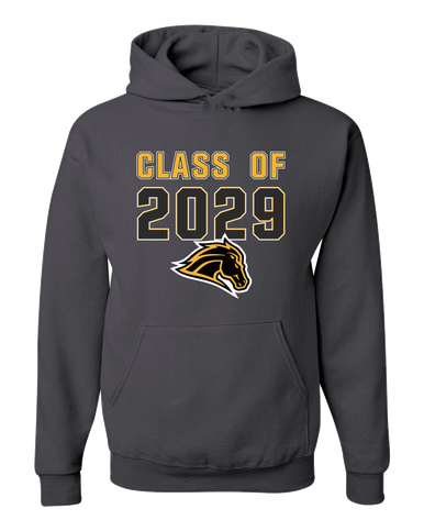 Metea Valley Mustangs Class of 2029 Men's Premium Hoodie