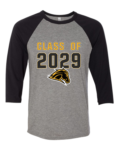 Metea Valley Mustangs Class of 2029 Women's Baseball T-Shirt