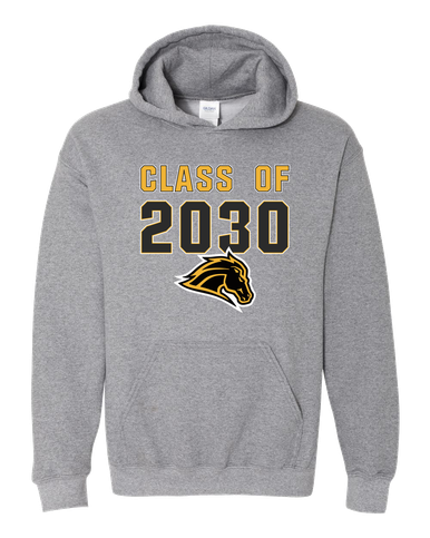 Metea Valley Mustangs Class of 2030 Men's Hoodie