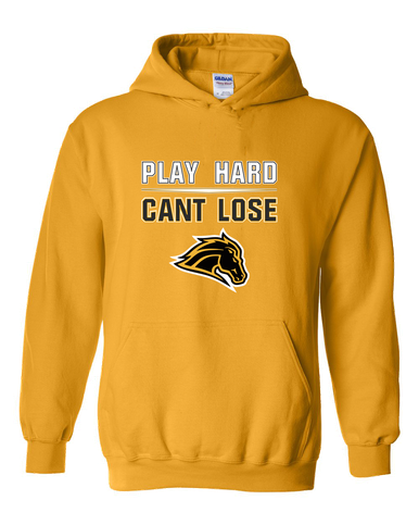Metea Valley Mustangs Play Hard, Can't Lose Men's Hoodie