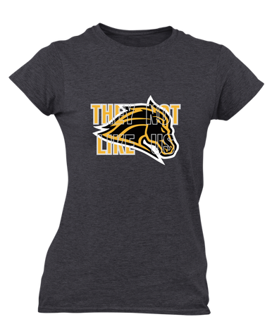 Metea Valley Mustangs They Not Like Us #2 Women's Premium SS T-Shirt