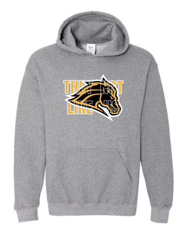 Metea Valley Mustangs They Not Like Us #2 Men's Hoodie