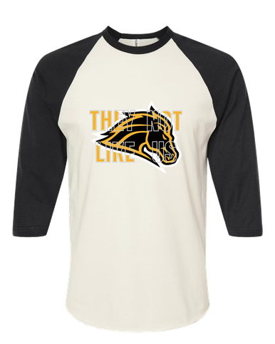 Metea Valley Mustangs They Not Like Us #2 Men's Baseball T-Shirt