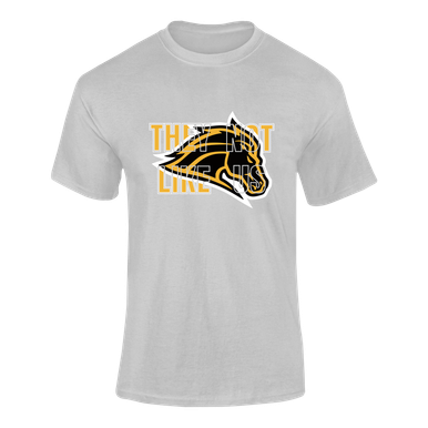 Metea Valley Mustangs They Not Like Us #2 Men's SS T-Shirt