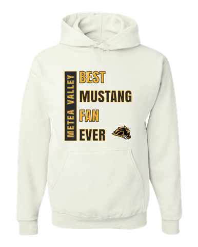 Metea Valley Mustangs Best Mustang Fan Men's Premium Hoodie