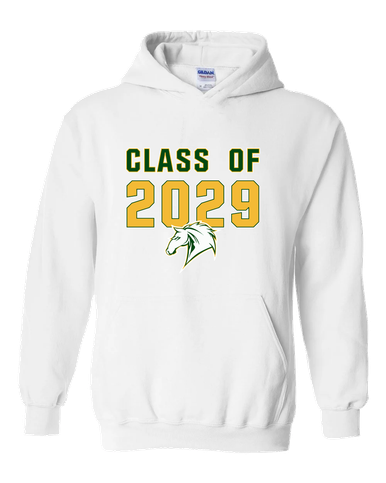 Mira Costa Mustangs Class of 2029 Men's Hoodie