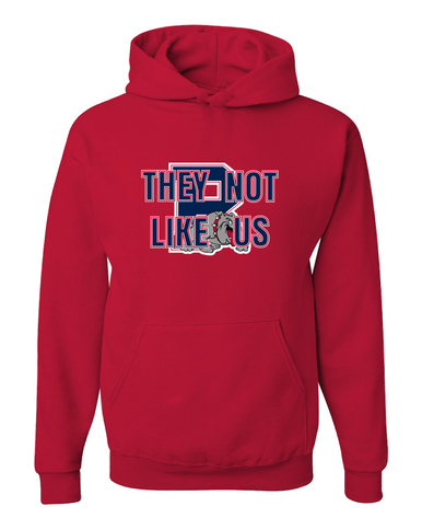 Plainview Bulldogs They Not Like Us #2 Men's Premium Hoodie