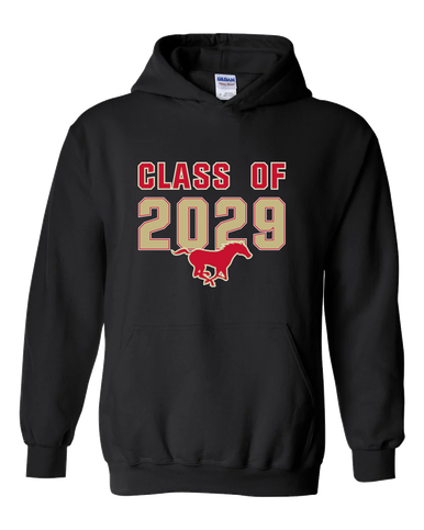 Coronado Mustangs Class of 2029 Men's Hoodie