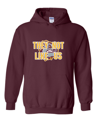 St. Cloud Bulldogs They Not Like Us #2 Men's Hoodie