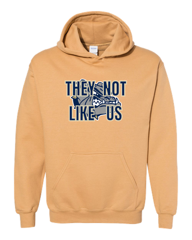 West Albany Bulldogs They Not Like Us #2 Men's Hoodie