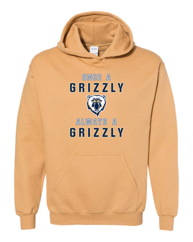 Spring Valley Grizzlies Once A Men's Hoodie