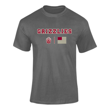 Mission Hills Grizzlies Team Colors Flag Men's Premium SS T-Shirt