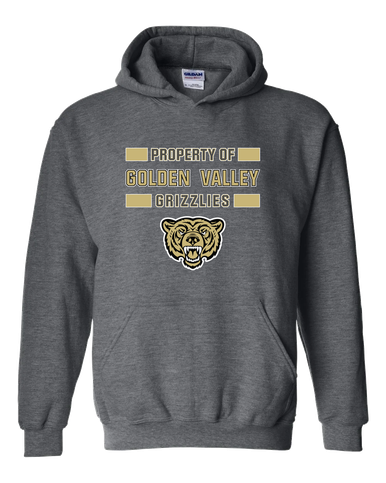 Golden Valley Grizzlies Property Of Men's Hoodie