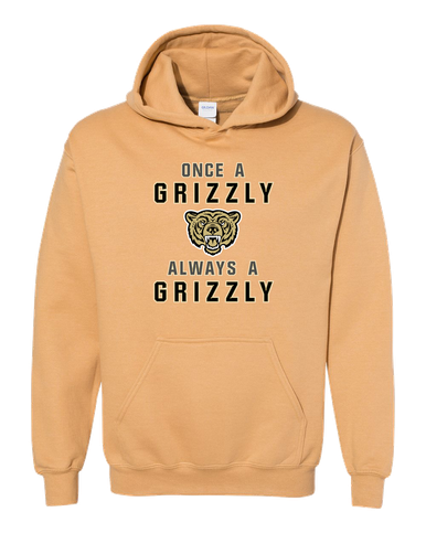 Golden Valley Grizzlies Once A Men's Hoodie