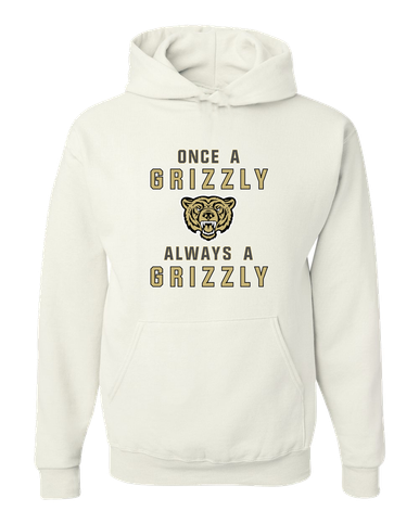 Golden Valley Grizzlies Once A Men's Premium Hoodie