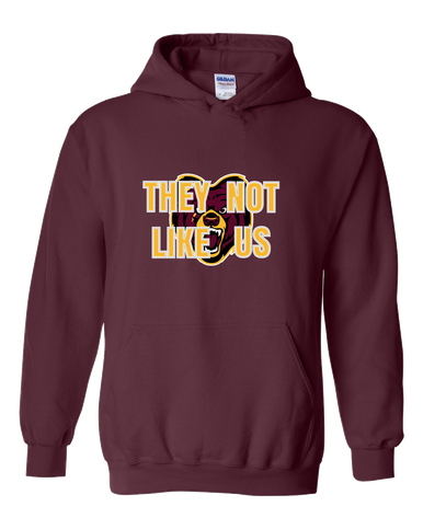 San Lorenzo Grizzlies They Not Like Us #2 Men's Hoodie