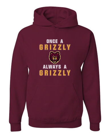 San Lorenzo Grizzlies Once A Men's Premium Hoodie