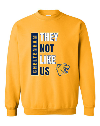 Cheltenham Panthers They Not Like Us #1 Men's Sweatshirt