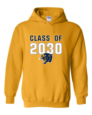 Round Lake Panthers Class of 2030 Men's Hoodie
